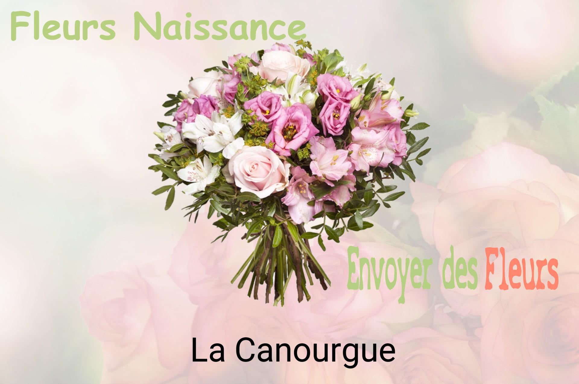 Bouquet de fleurs de naissance livré à La Canourgue